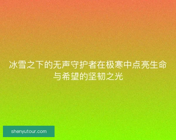 冰雪之下的无声守护者在极寒中点亮生命与希望的坚韧之光
