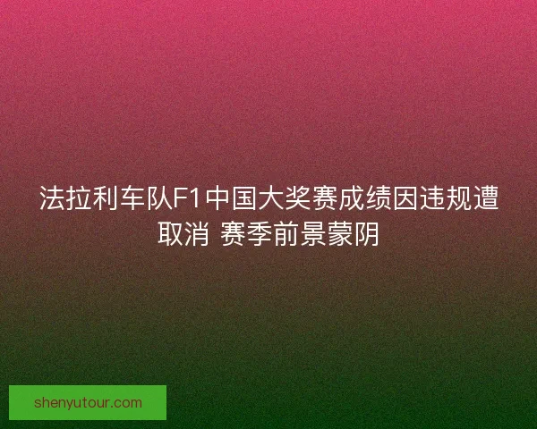 法拉利车队F1中国大奖赛成绩因违规遭取消 赛季前景蒙阴