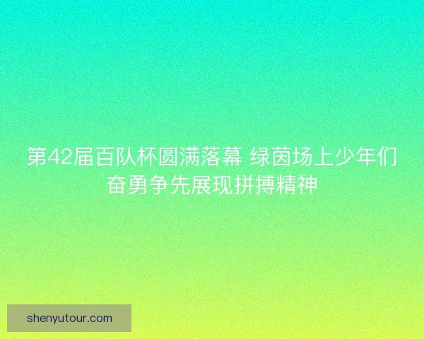 第42届百队杯圆满落幕 绿茵场上少年们奋勇争先展现拼搏精神